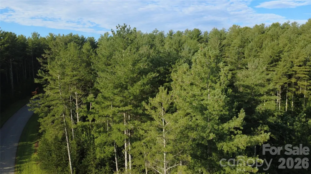 TBD Peninsula Reserve Drive #27 Nebo, NC 28761
