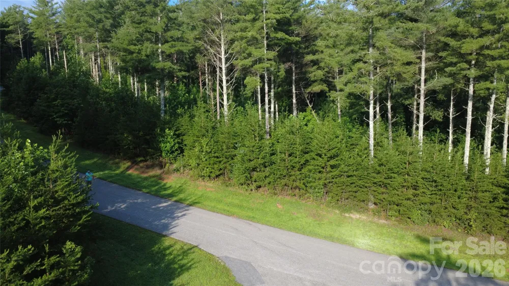 TBD Peninsula Reserve Drive #6 & 27 Nebo, NC 28761