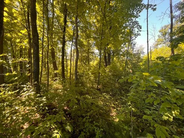 Lot 1 County Road BB Woodville, WI 54028
