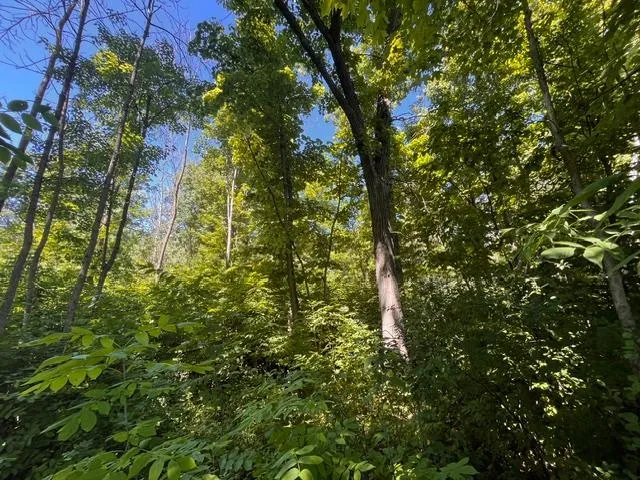 Lot 1 County Road BB Woodville, WI 54028