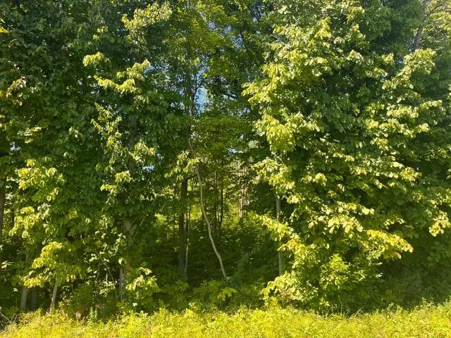 Lot 1 County Road BB Woodville, WI 54028