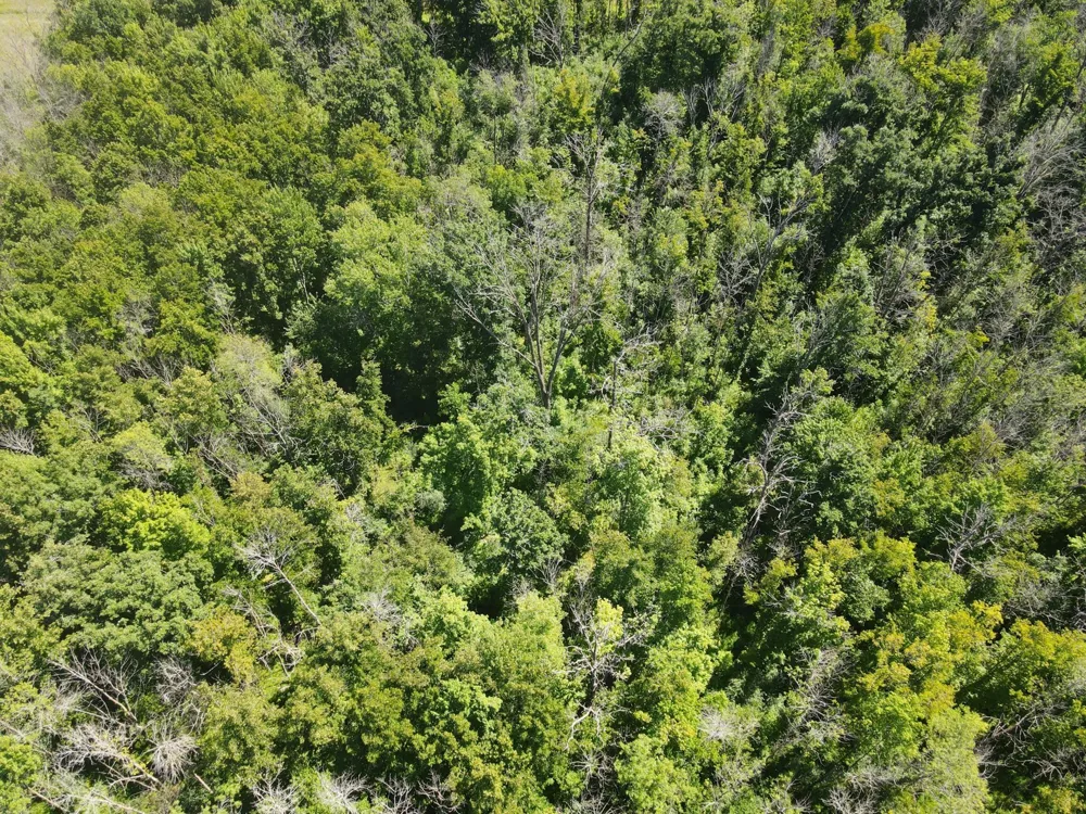 Lot 1 County Road BB Woodville, WI 54028