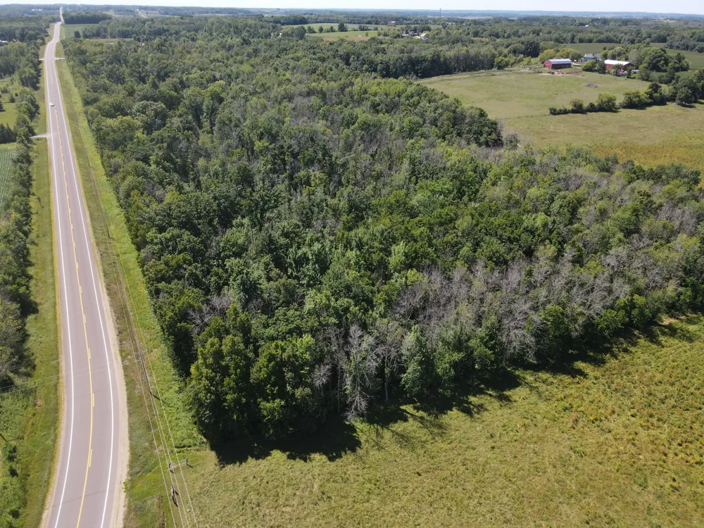 Lot 1 County Road BB Woodville, WI 54028