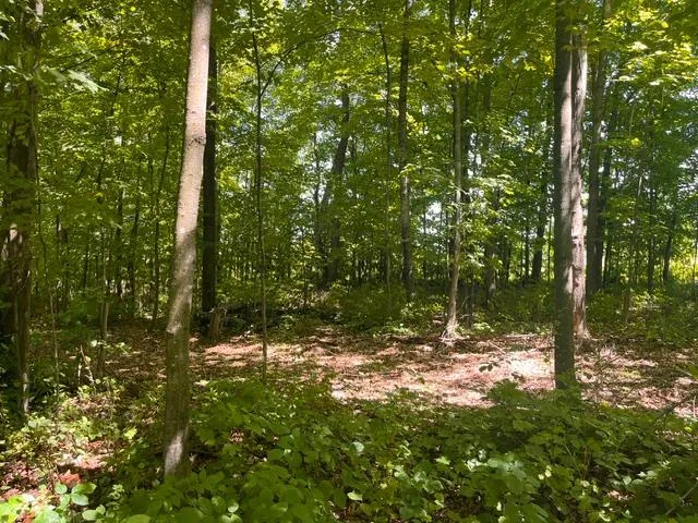 Lot 2 County Rd BB Woodville, WI 54028