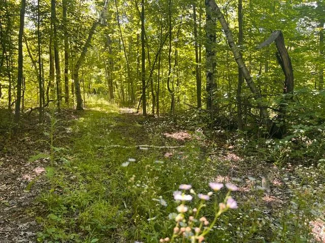 Lot 2 County Rd BB Woodville, WI 54028