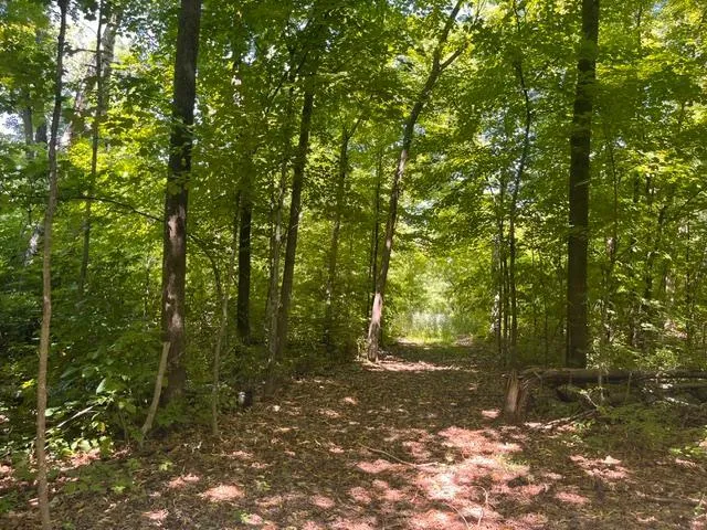 Lot 2 County Rd BB Woodville, WI 54028