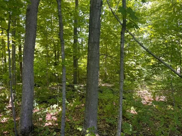 Lot 2 County Rd BB Woodville, WI 54028