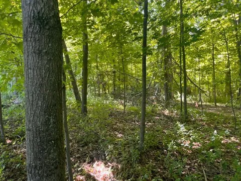 Lot 2 County Rd BB