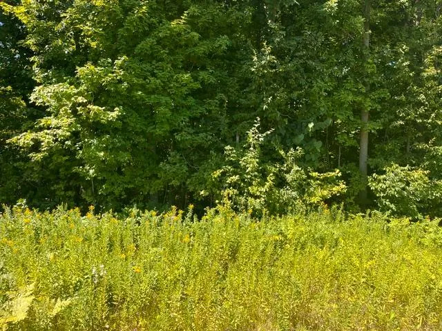 Lot 2 County Rd BB Woodville, WI 54028