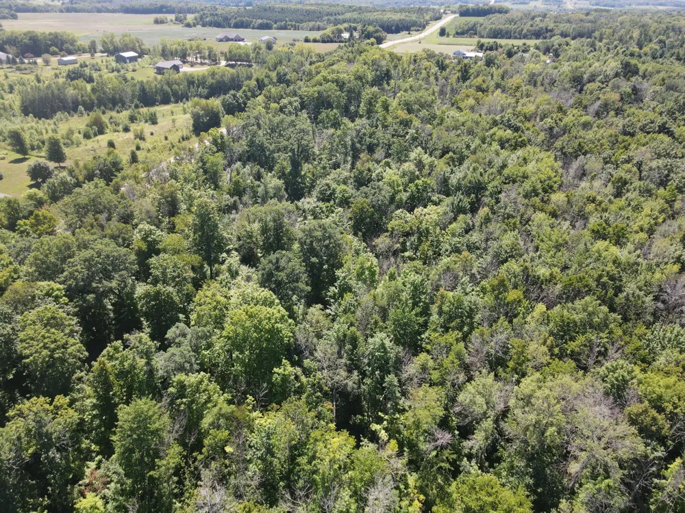 Lot 2 County Rd BB Woodville, WI 54028