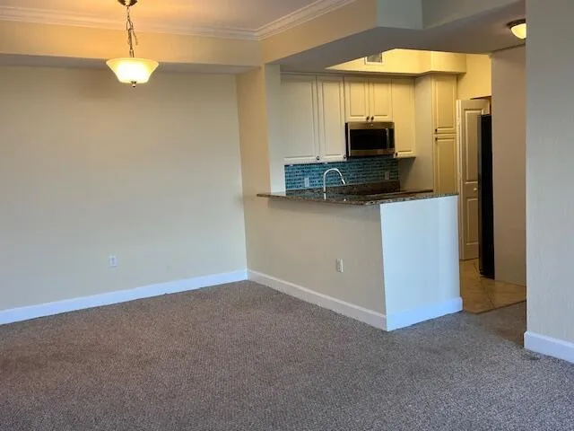 1660 Renaissance Commons Boulevard #2507 Boynton Beach, FL 33426