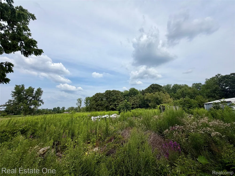 4985 Denton Road Canton Charter Township, MI 48188