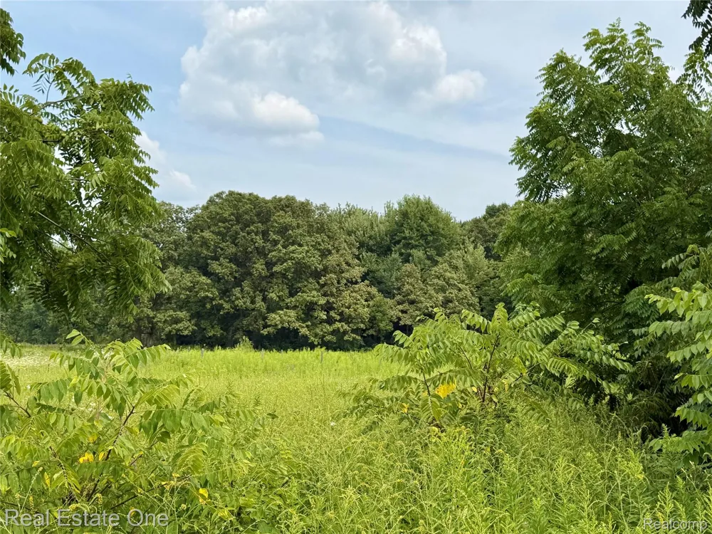 4985 Denton Road Canton Charter Township, MI 48188
