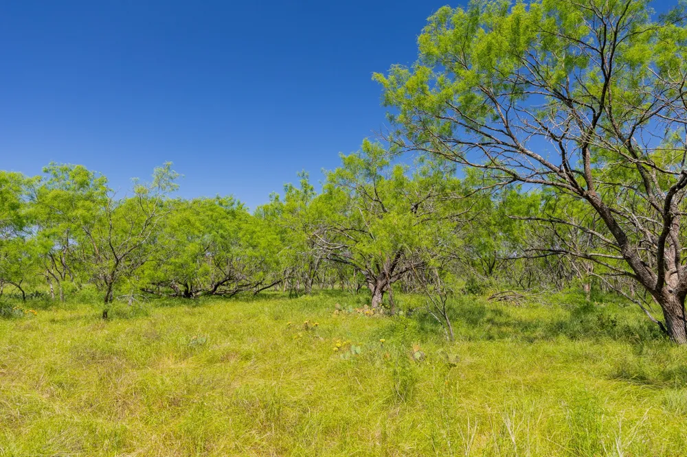County Road 180 Mesquite Hollow Ranch Road Purmela, TX 76566