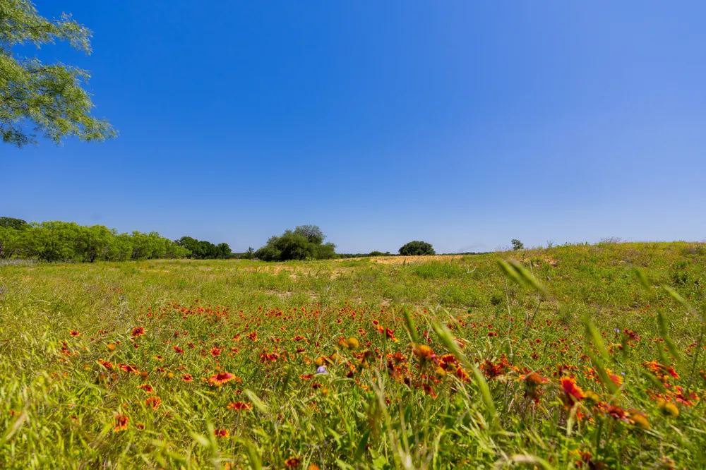 County Road 180 Mesquite Hollow Ranch Road Purmela, TX 76566