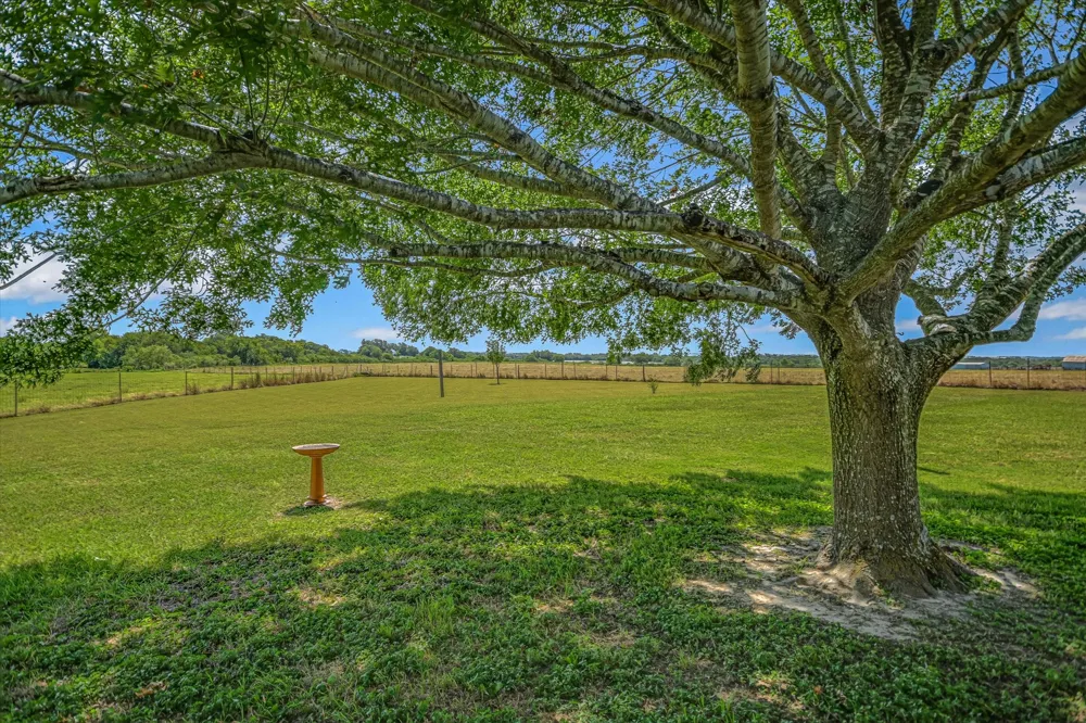 1465 County Road 436 Thrall, TX 76578