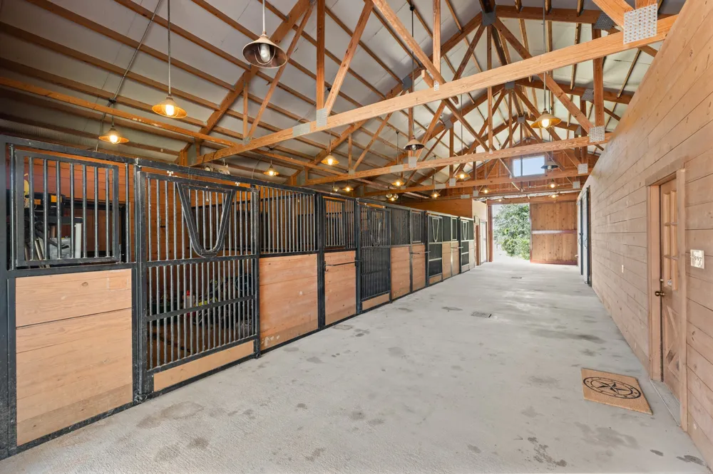 520 Holder Lane Dripping Springs, TX 78620