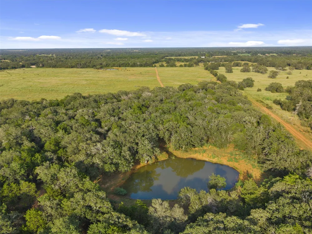299 Nink Road #A Smithville, TX 78957