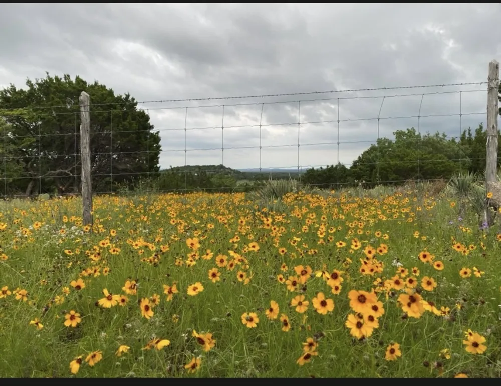 1580 County Road 2113 Road Lometa, TX 76853