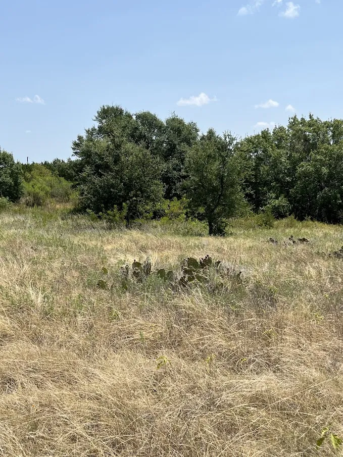 1580 County Road 2113 Road Lometa, TX 76853