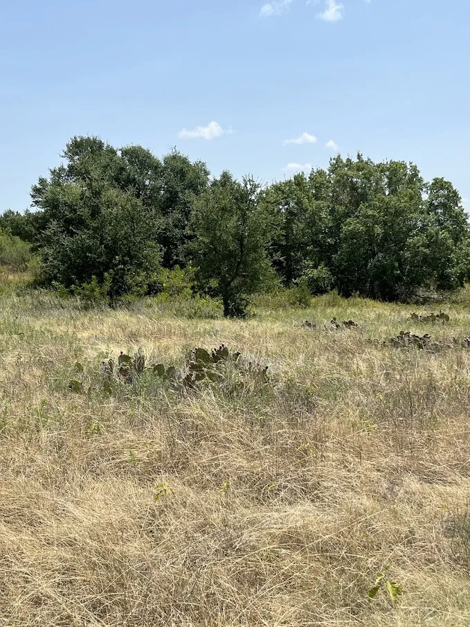 1580 County Road 2113 Road Lometa, TX 76853