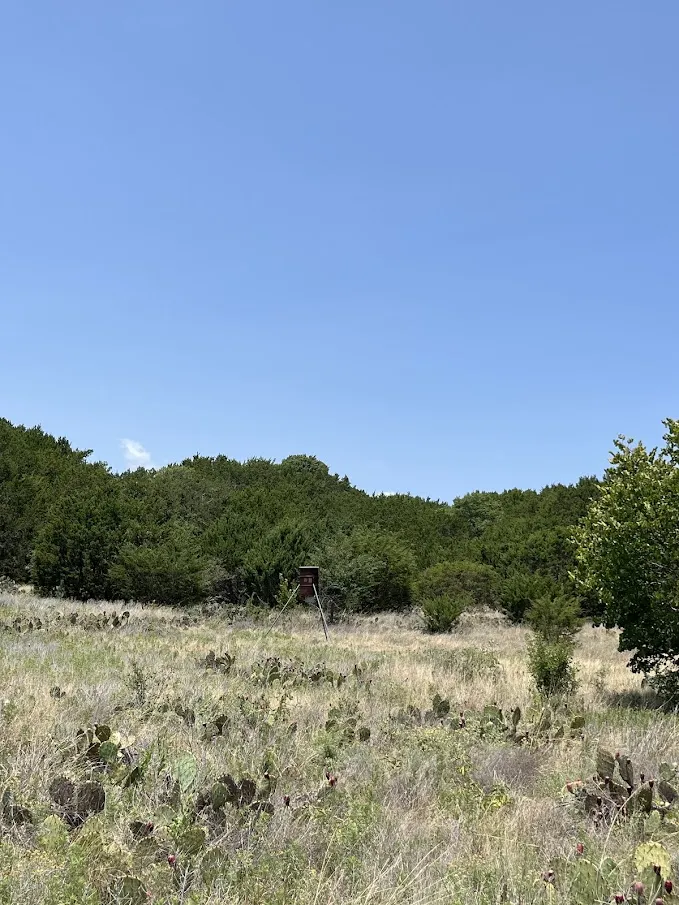 1580 County Road 2113 Road Lometa, TX 76853