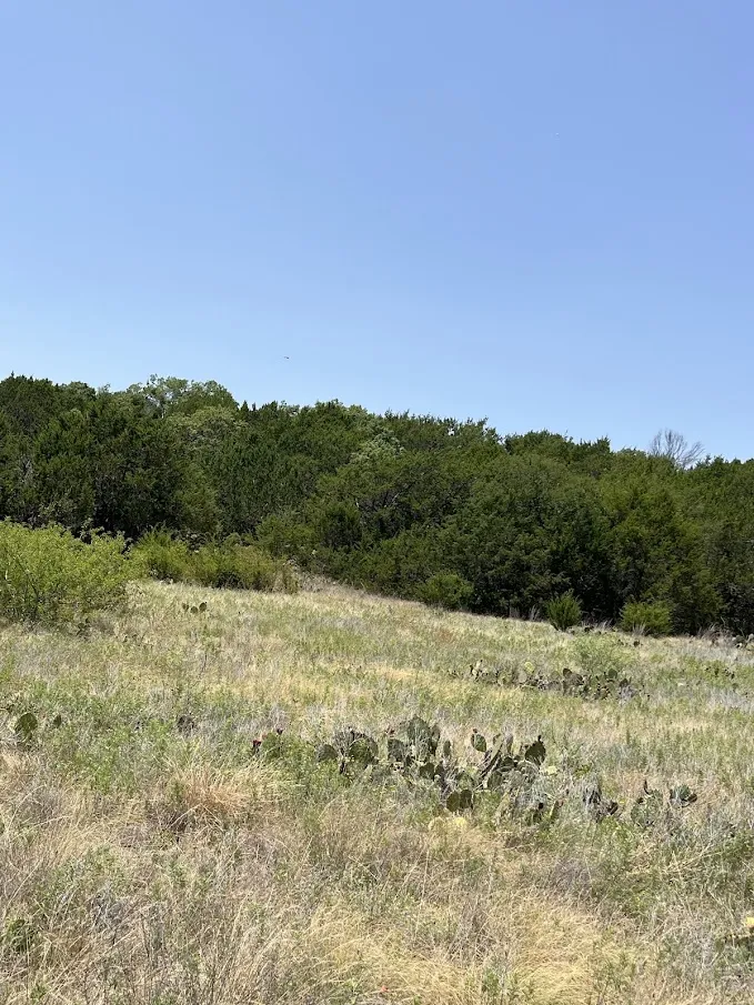 1580 County Road 2113 Road Lometa, TX 76853