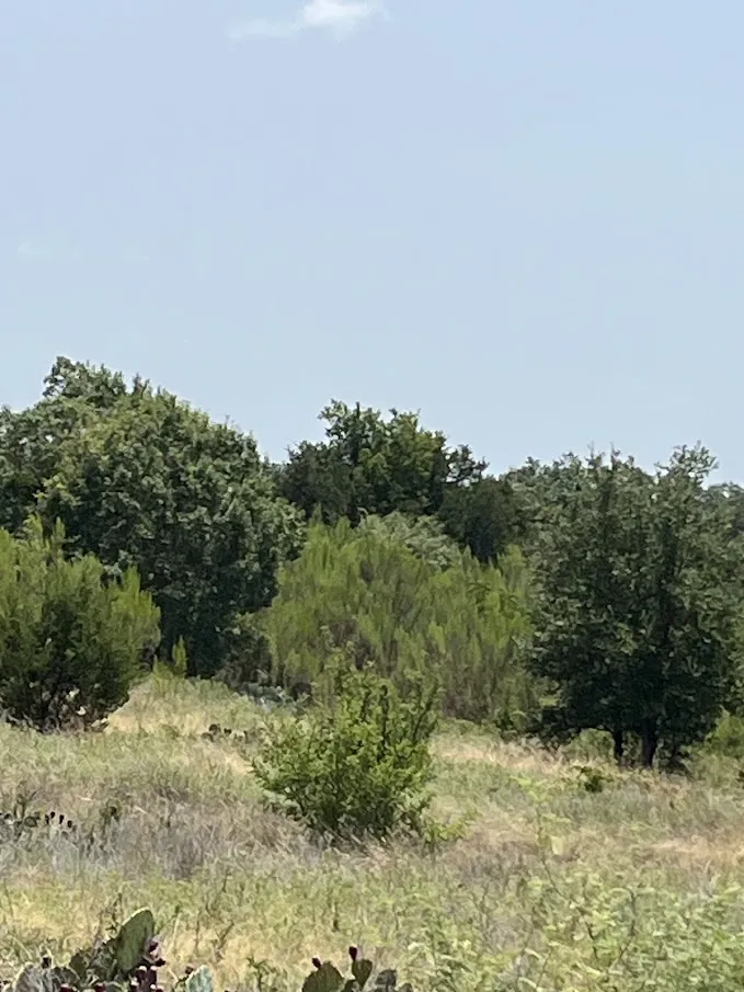 1580 County Road 2113 Road Lometa, TX 76853