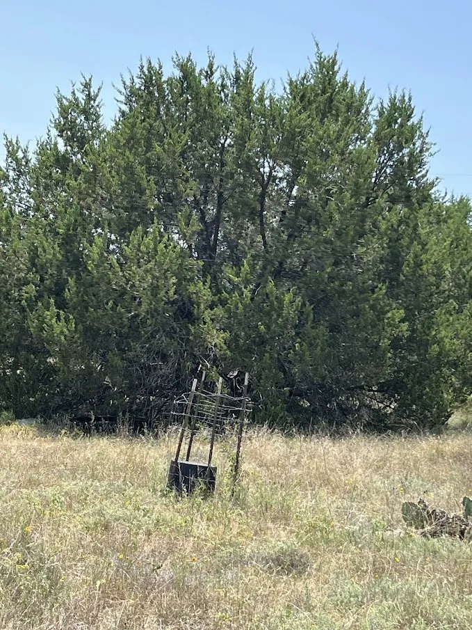1580 County Road 2113 Road Lometa, TX 76853
