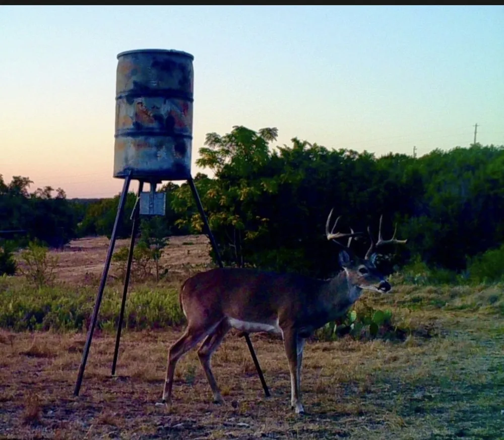 1580 County Road 2113 Road Lometa, TX 76853
