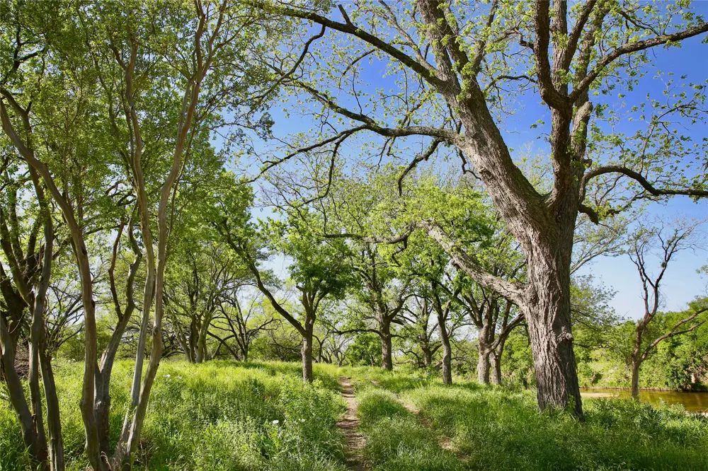 610 RR 152 Ranch Mason, TX 78643