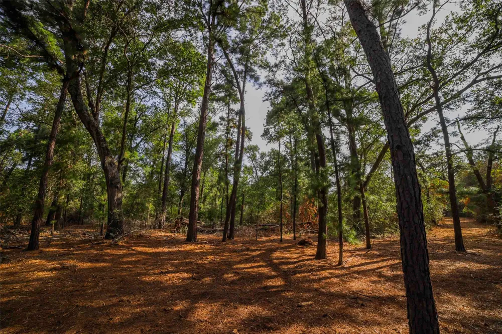 Stiewert Lane Paige, TX 78659