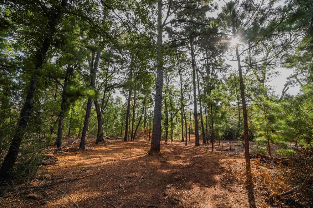 Stiewert Lane Paige, TX 78659