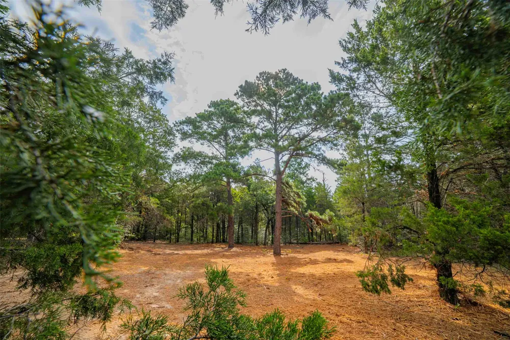 Stiewert Lane Paige, TX 78659