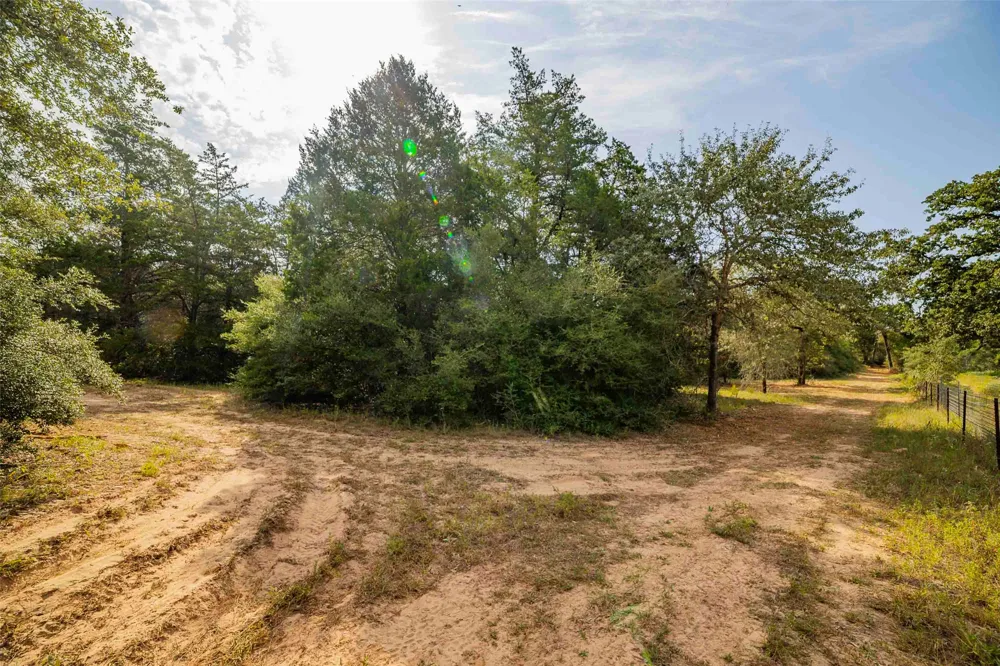 Stiewert Lane Paige, TX 78659