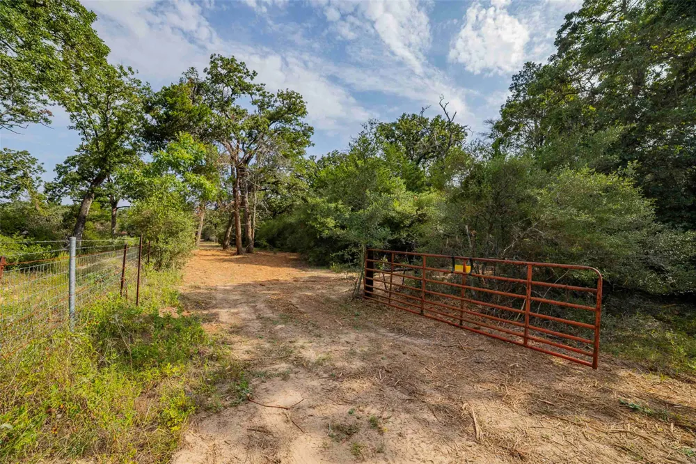 Stiewert Lane Paige, TX 78659