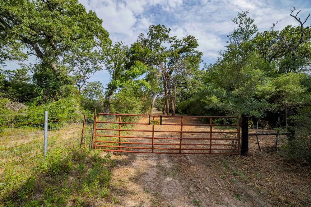 Stiewert Lane Paige, TX 78659