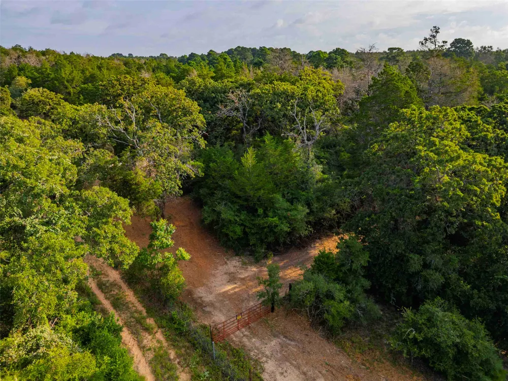 Stiewert Lane Paige, TX 78659