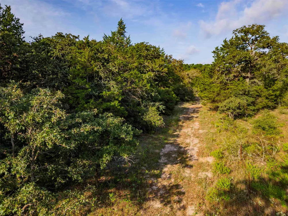 Stiewert Lane Paige, TX 78659
