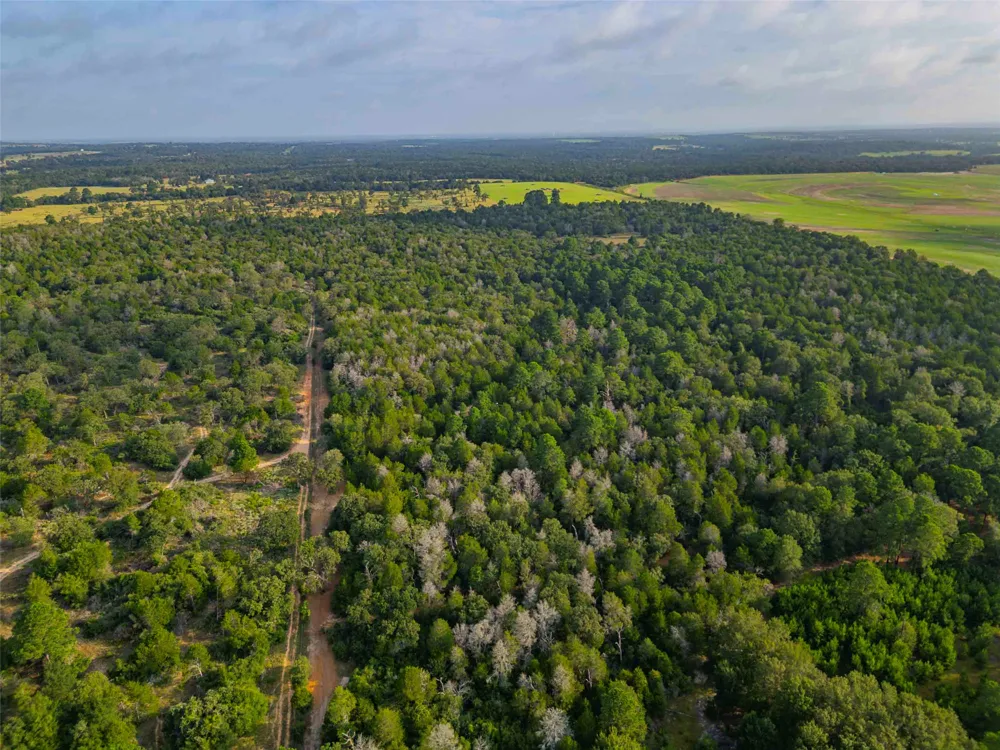 Stiewert Lane Paige, TX 78659