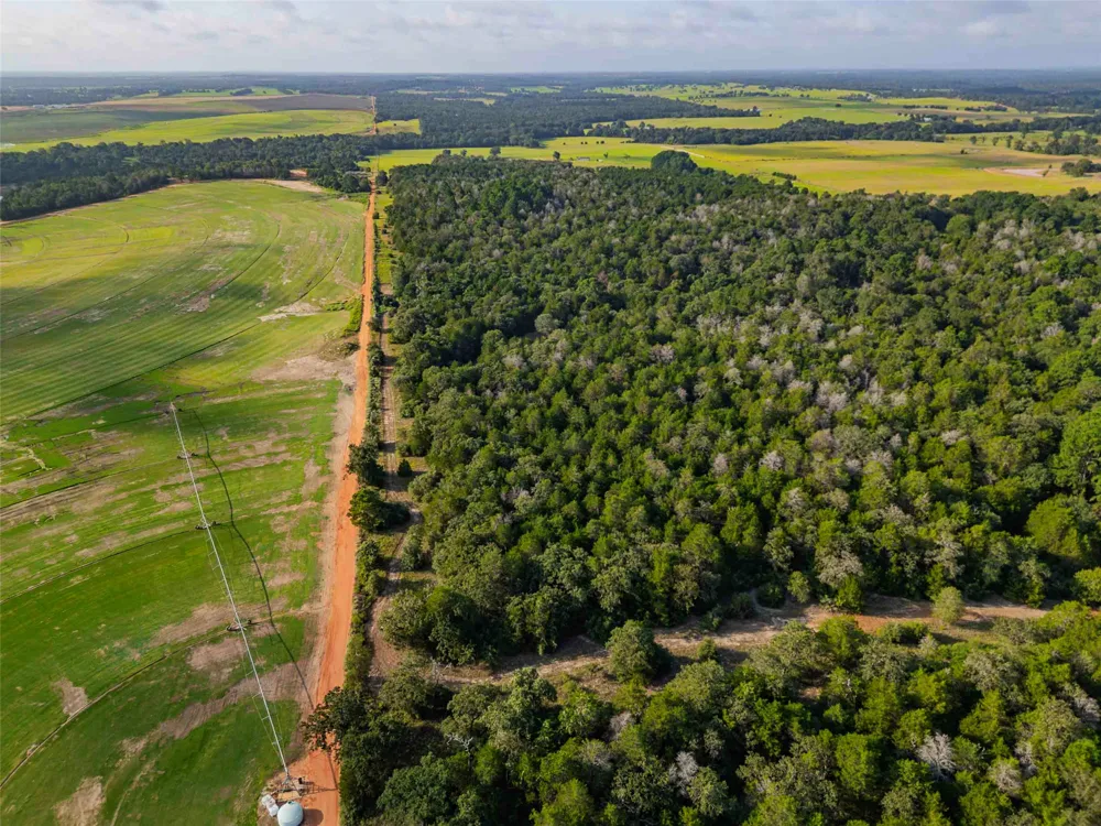 Stiewert Lane Paige, TX 78659