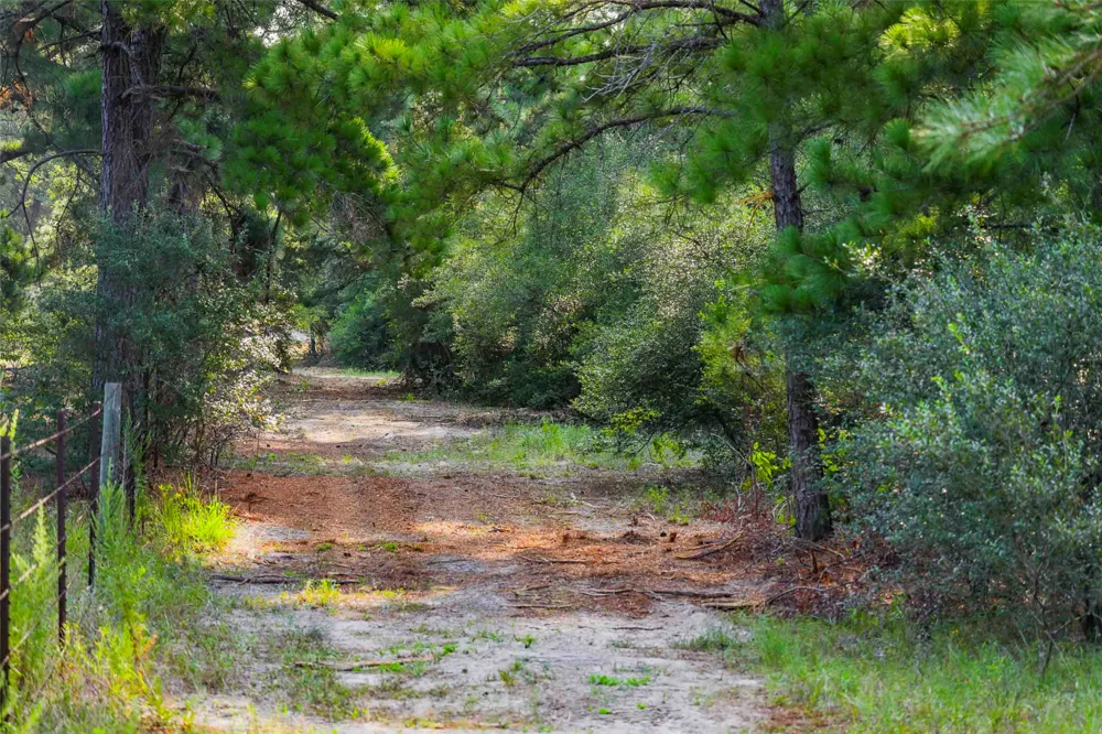 Stiewert Lane Paige, TX 78659