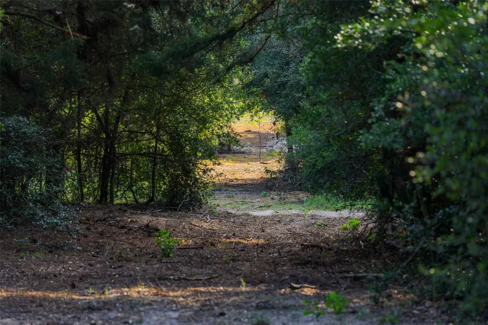 Stiewert Lane Paige, TX 78659