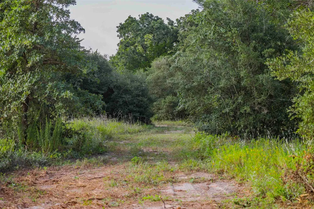Stiewert Lane Paige, TX 78659