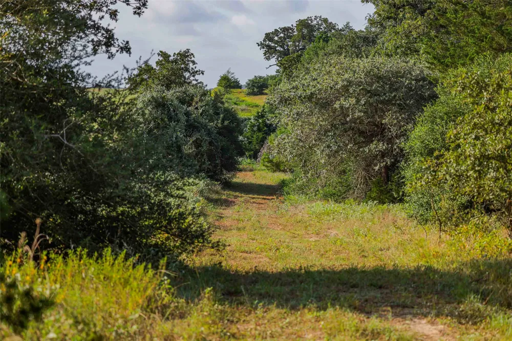 Stiewert Lane Paige, TX 78659