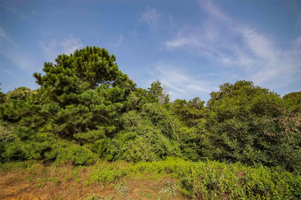 Stiewert Lane Paige, TX 78659