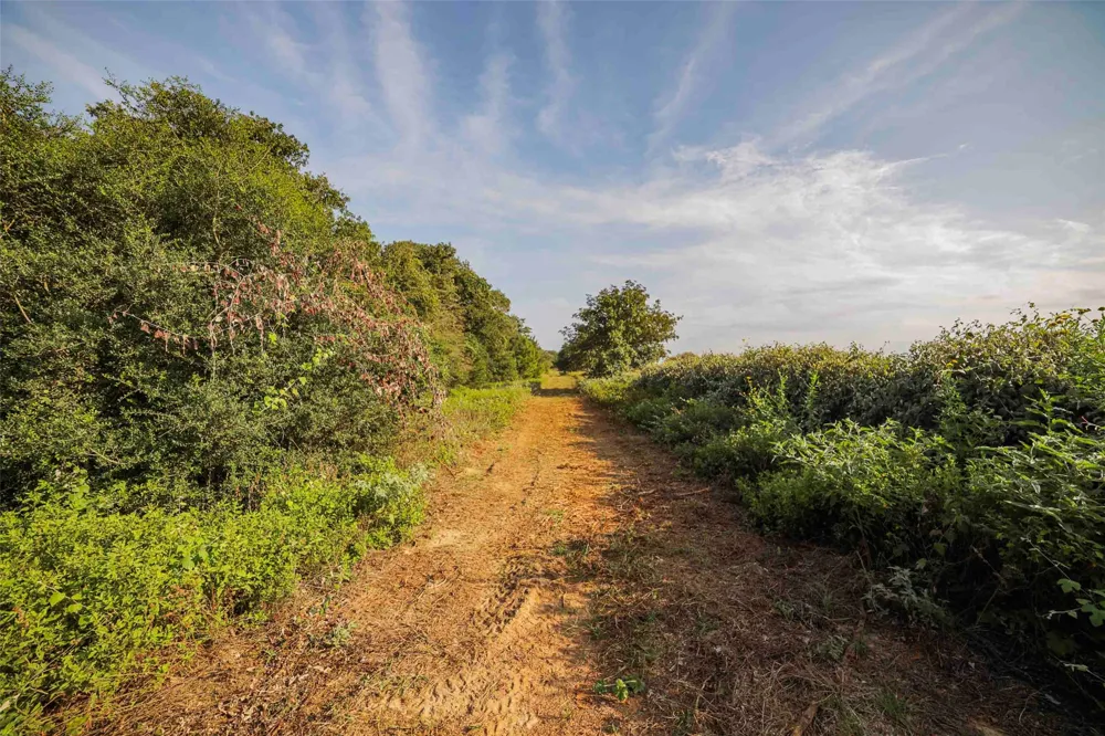 Stiewert Lane Paige, TX 78659