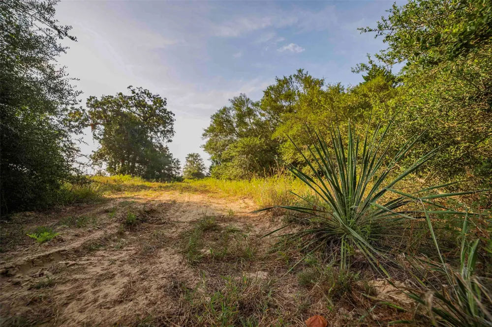 Stiewert Lane Paige, TX 78659