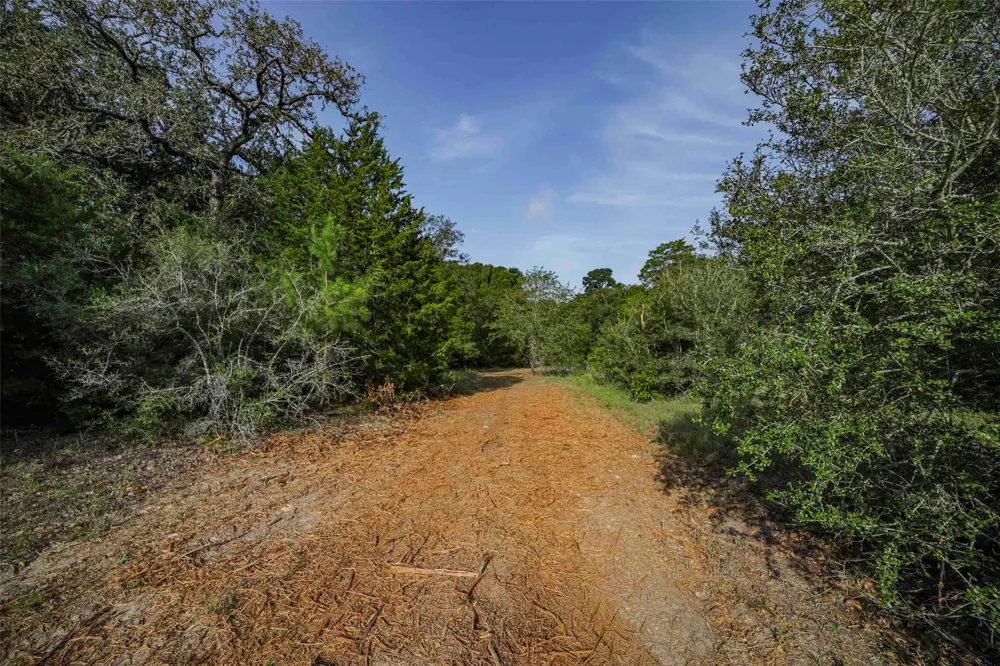 Stiewert Lane Paige, TX 78659