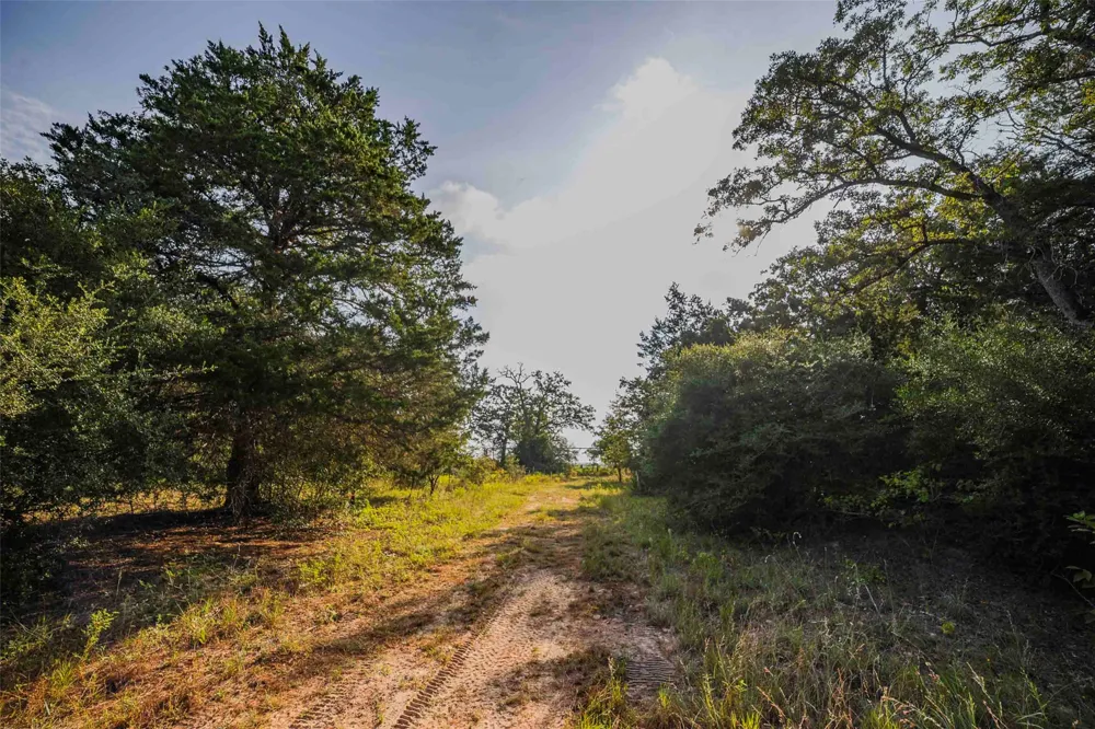 Stiewert Lane Paige, TX 78659